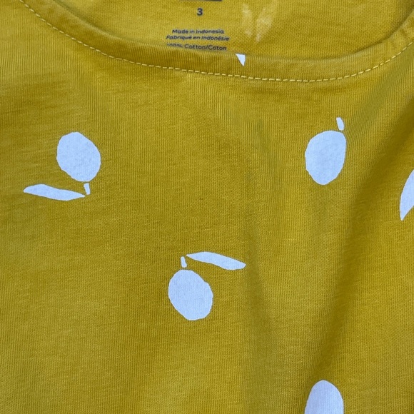 Tea Collection Girls Hi Lo Fruit Print Elastic Waistband Sleeveless Dress Size 3 - Picture 4 of 11